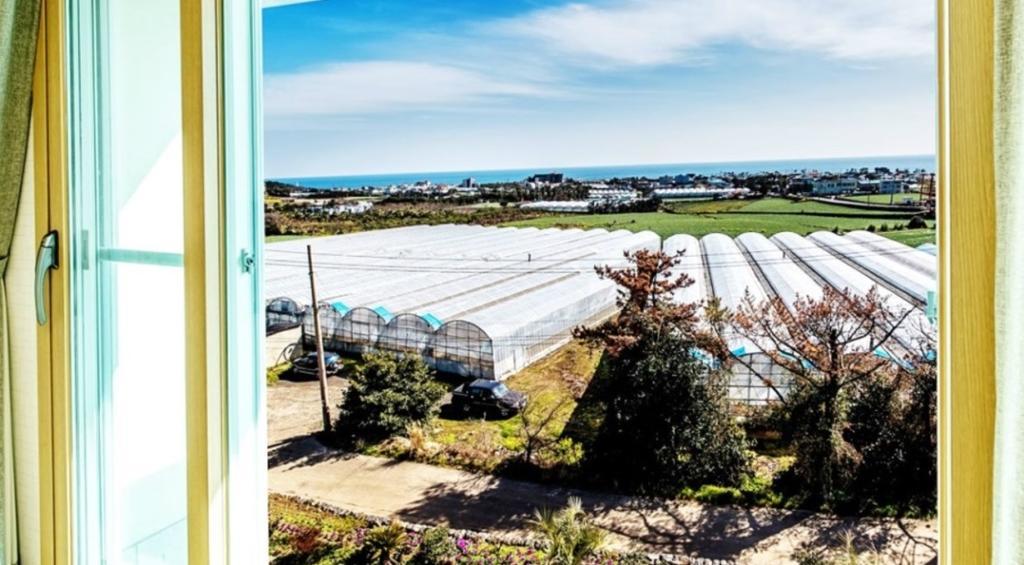 Villamerci Seogwipo Bagian luar foto